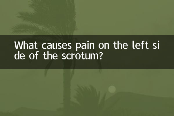陰嚢の左側の痛みの原因は何ですか?