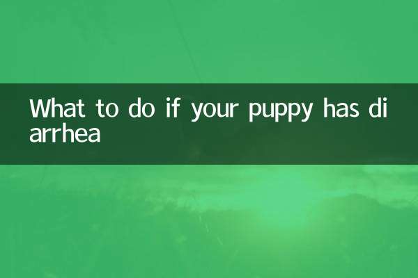 子犬が下痢をした場合の対処法