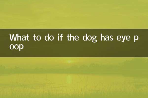 Que faire si le chien a du caca pour les yeux