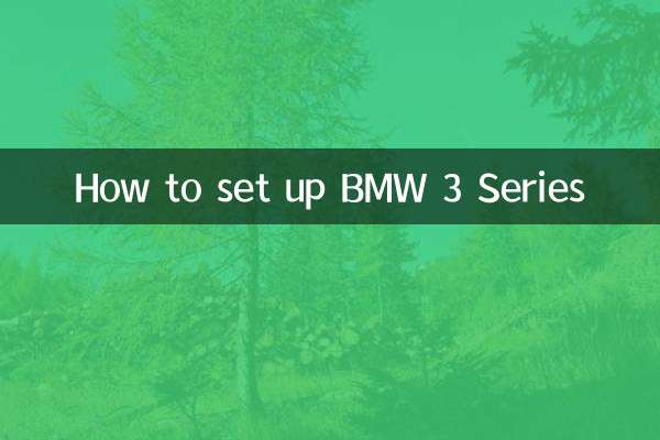 نحوه تنظیم سری BMW 3