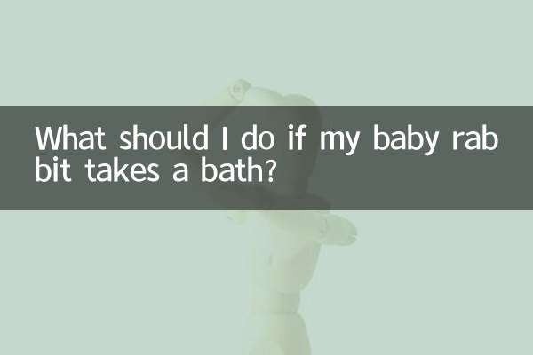 What should I do if my baby rabbit takes a bath?