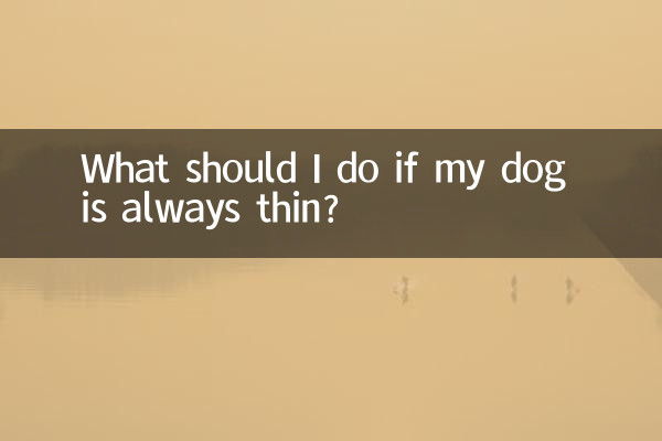 Que dois-je faire si mon chien est toujours maigre ?