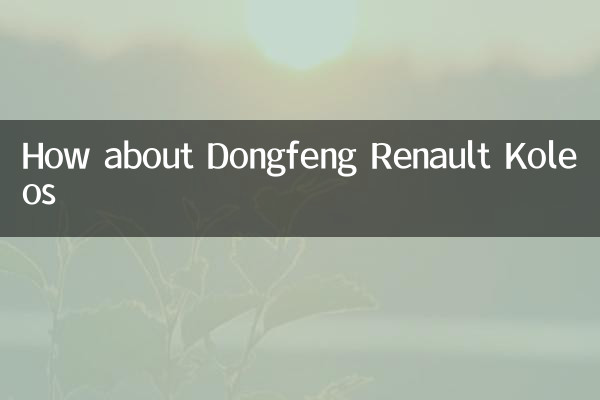 동풍 르노 콜레오스는 어떻습니까?