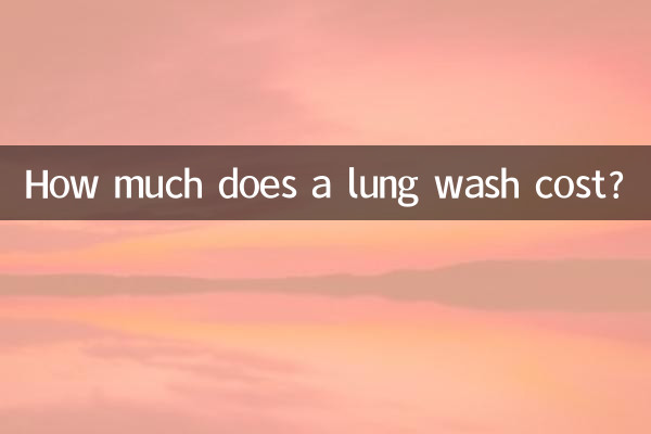 폐 세척 비용은 얼마입니까?