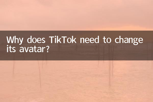Por que o TikTok precisa mudar seu avatar?