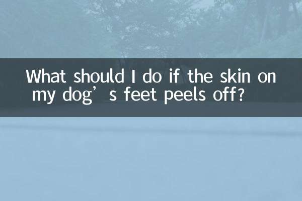 O que devo fazer se a pele das patas do meu cachorro descascar?