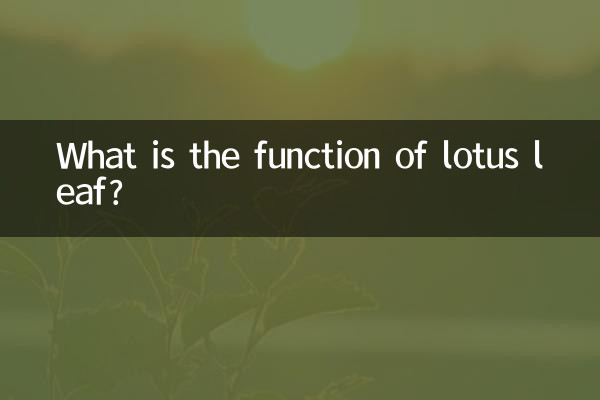 পদ্ম পাতার কাজ কি?