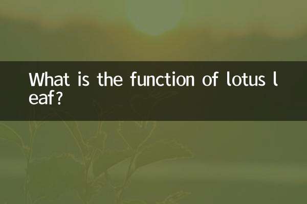 Qual è la funzione della foglia di loto?