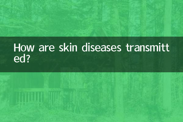 How are skin diseases transmitted?