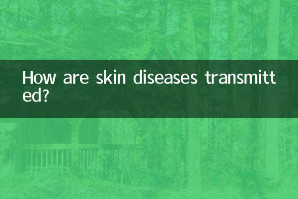How are skin diseases transmitted?