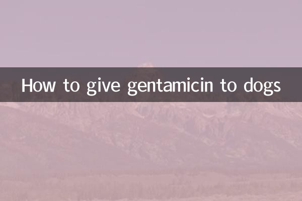 犬にゲンタマイシンを与える方法