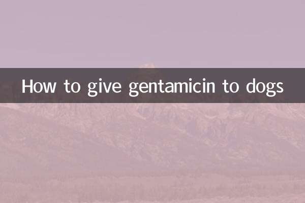 犬にゲンタマイシンを与える方法