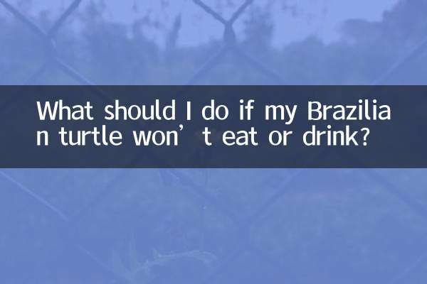 ماذا علي أن أفعل إذا كانت سلحفاتي البرازيلية لا تأكل أو تشرب؟