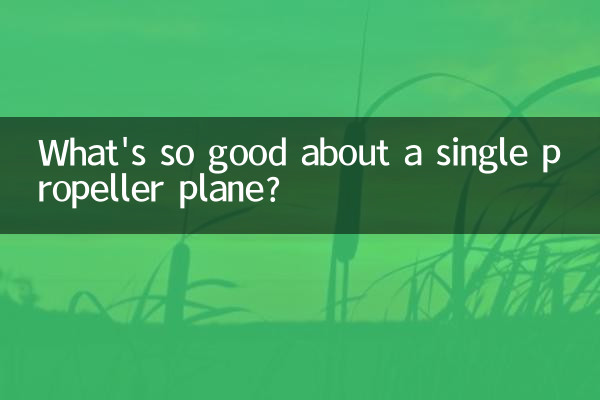 O que há de tão bom em um avião de hélice única?