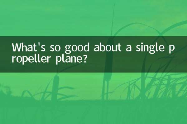 Was ist so gut an einem Einpropellerflugzeug?