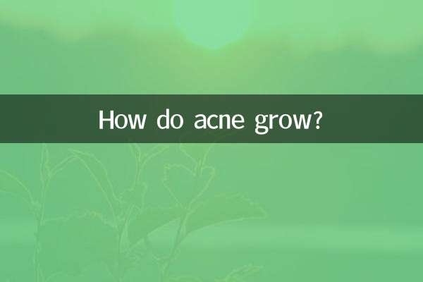 آکنه چگونه رشد می کند؟