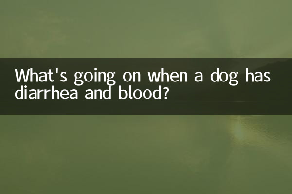 Cosa succede quando un cane ha diarrea e sangue?