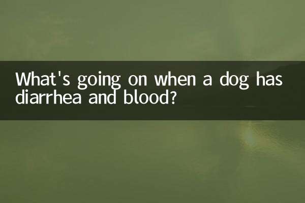 Cosa succede quando un cane ha diarrea e sangue?