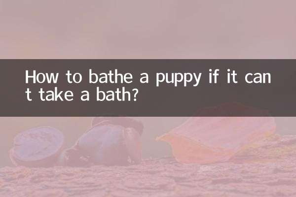 小狗不能洗澡怎麼洗澡