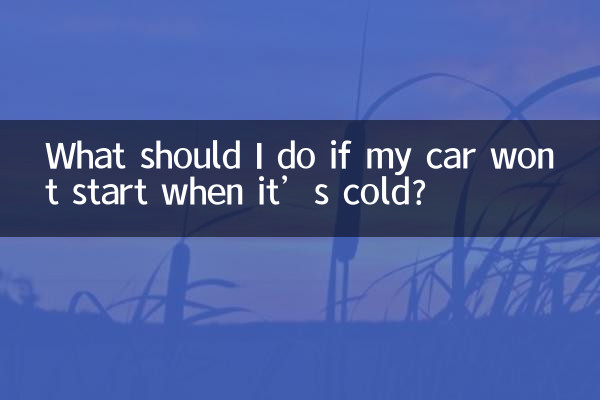 Was soll ich tun, wenn mein Auto im kalten Zustand nicht startet?