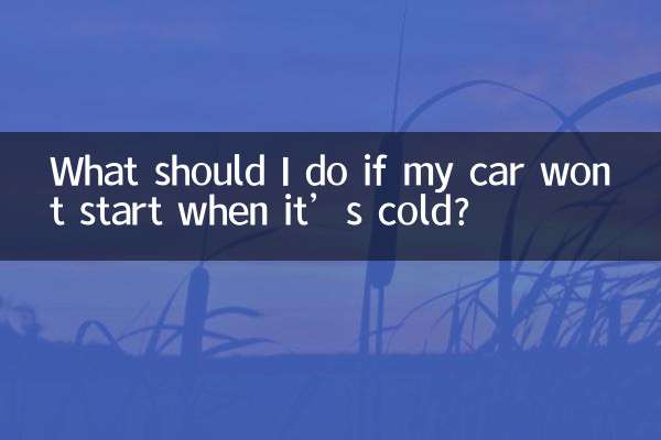 Was soll ich tun, wenn mein Auto im kalten Zustand nicht startet?