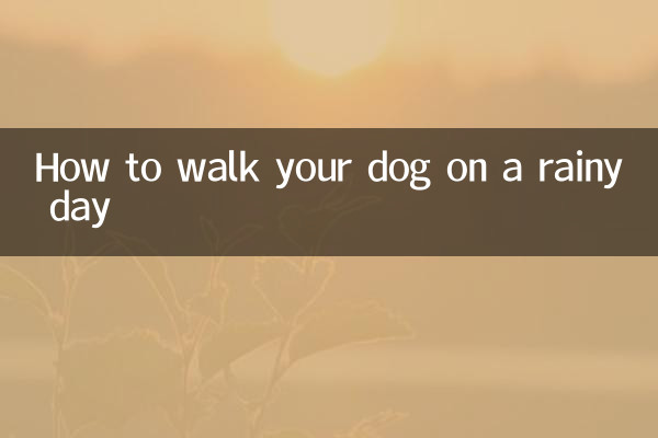 Как гулять с собакой в дождливый день