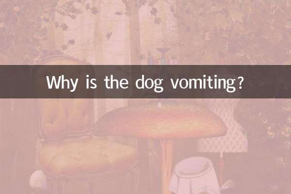 Por que o cachorro está vomitando?