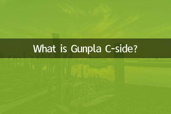 What is Gunpla C-side?