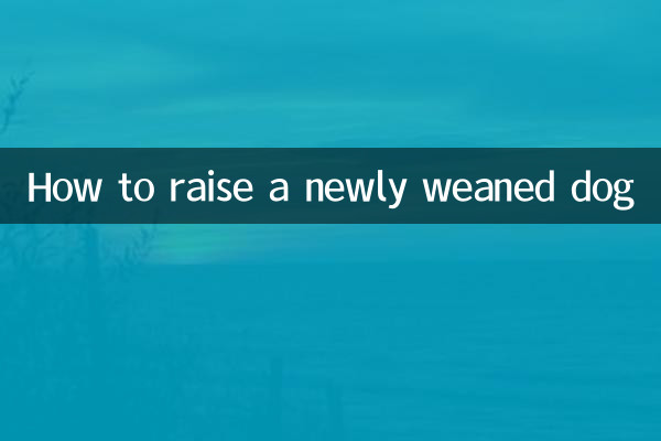 ایک نیا دودھ چھڑانے والے کتے کو کیسے پالا جائے