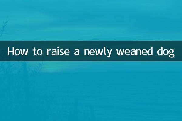 ایک نیا دودھ چھڑانے والے کتے کو کیسے پالا جائے