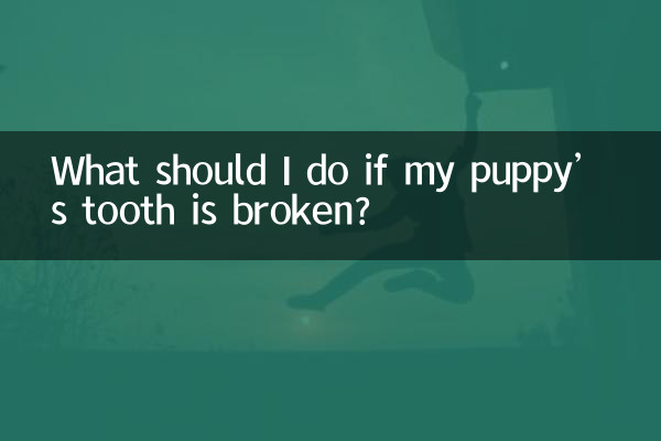¿Qué debo hacer si a mi cachorro se le rompe el diente?