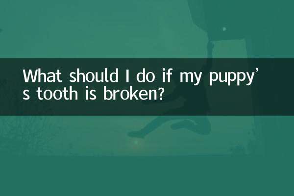 ¿Qué debo hacer si a mi cachorro se le rompe el diente?