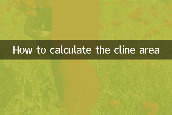 نحوه محاسبه مساحت کلین