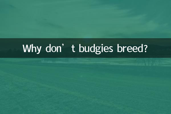 لماذا لا يتكاثر الببغاء؟
