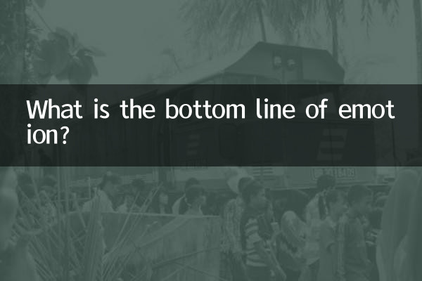 감정의 결론은 무엇인가?