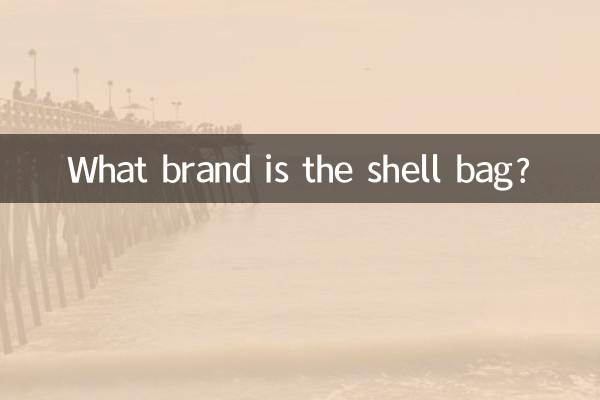 贝壳包是什么牌子的