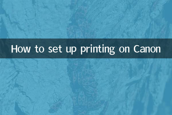 How to set up printing on Canon