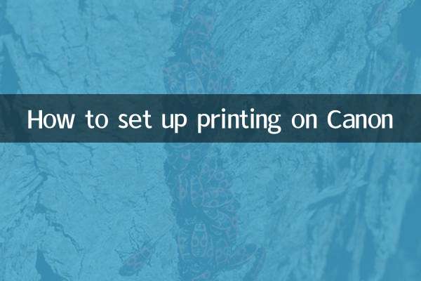 कैनन पर प्रिंटिंग कैसे सेट करें