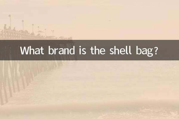 ¿Qué marca es la bolsa de concha?