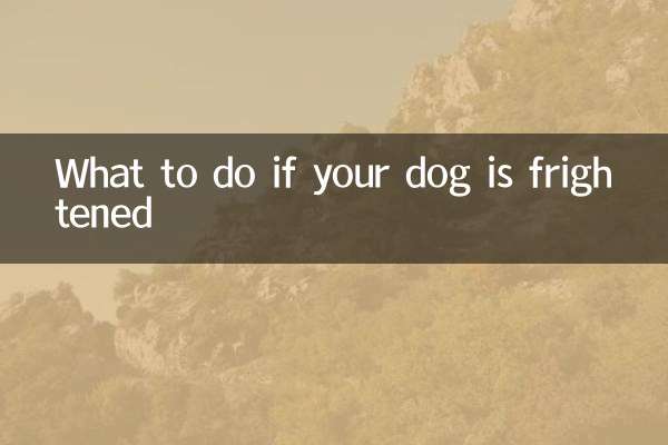 What to do if your dog is frightened