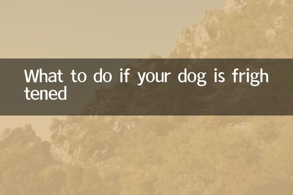 What to do if your dog is frightened