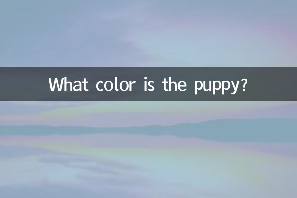 Welche Farbe hat der Welpe?