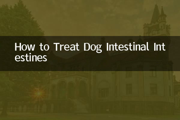 كيفية علاج الأمعاء المعوية للكلاب