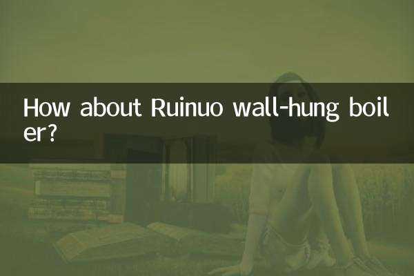 रुइनुओ वॉल-हंग बॉयलर के बारे में क्या ख्याल है?