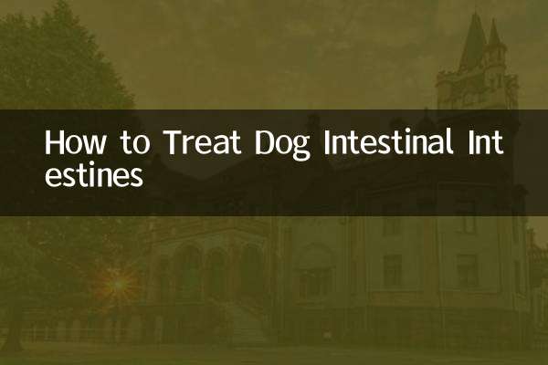 Wie man den Darm eines Hundes behandelt