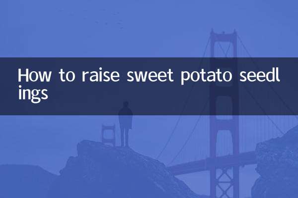 How to raise sweet potato seedlings