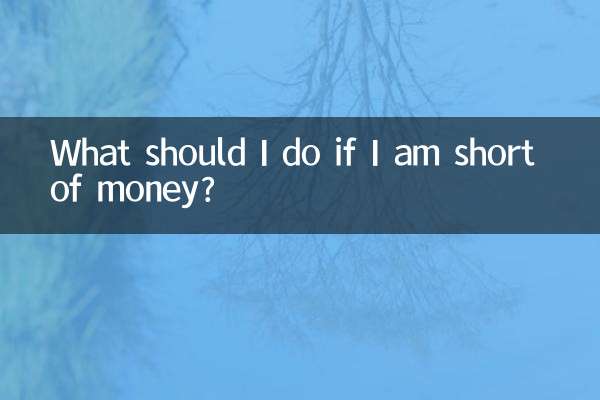 お金が足りない場合はどうすればよいですか？