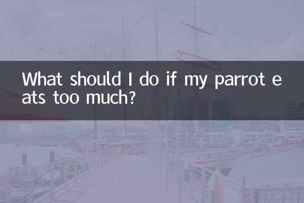 ماذا علي أن أفعل إذا أكل الببغاء أكثر من اللازم؟