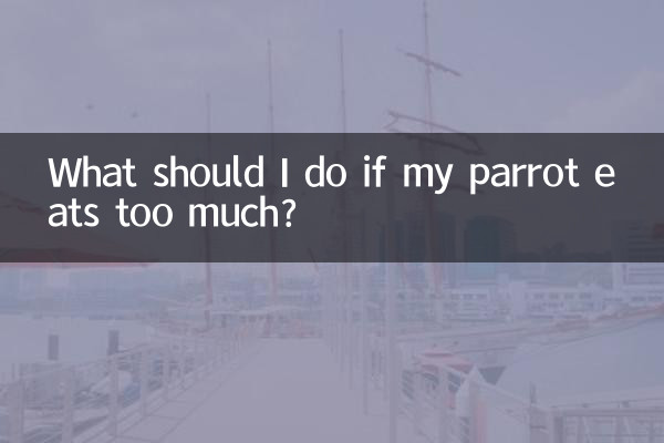 ماذا علي أن أفعل إذا أكل الببغاء أكثر من اللازم؟