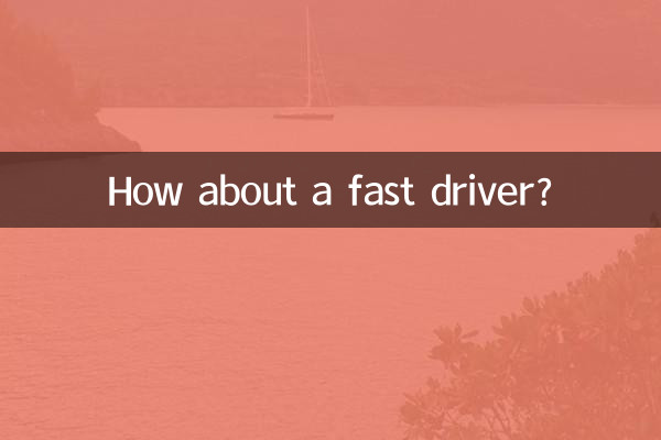 빠른 운전자는 어떻습니까?